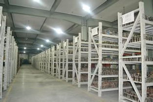 靈活倉儲新選擇 上海小倉庫30平起租，短租臨時(shí)倉儲服務(wù)全解析